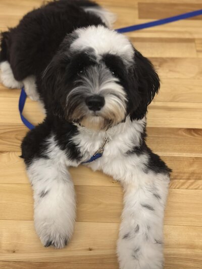 ae0593e6-eaf5-4526-bc4b-f8734876fdf0 (1)