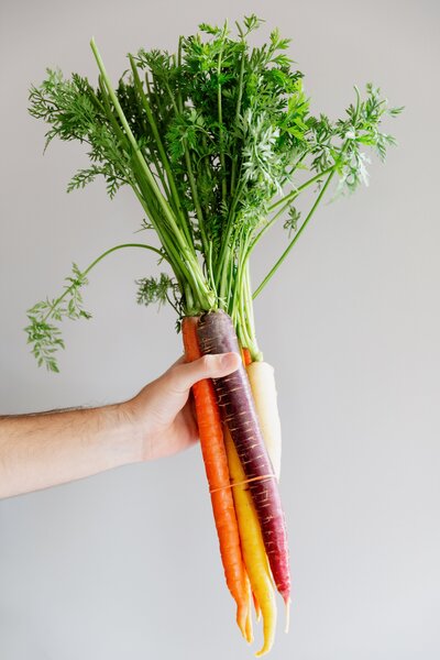 hand-holds-rainbow-carrots