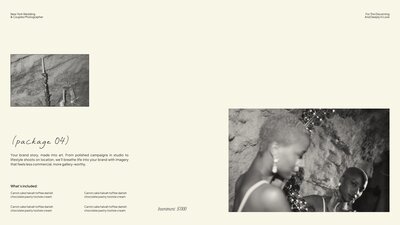 Dylan James pricing guide mockup