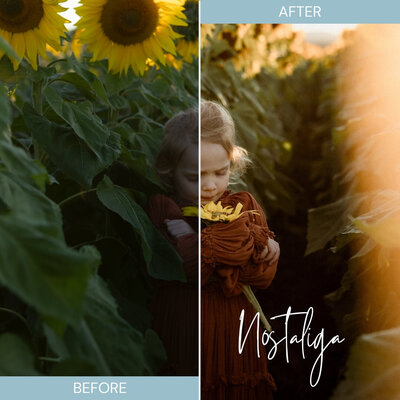 Mamastalgia Presets - Nostalgia - before and after 