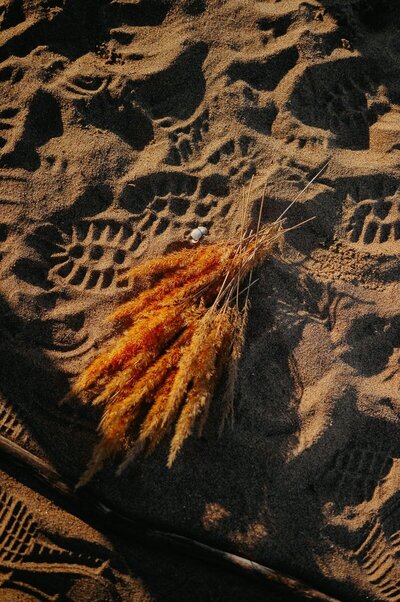 Vass på stranden i solen.