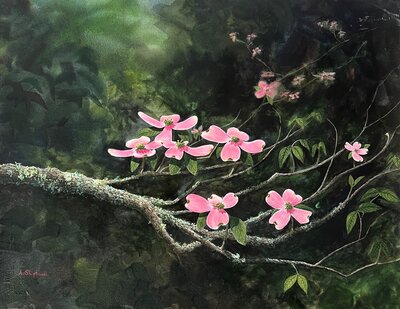 Spring Blush © Alan Shuptrine, Artist