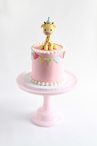 Birthday Buddy Cake
