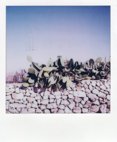 ITAL-COLOR05