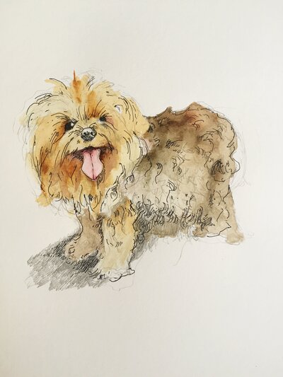 Custom Pet Portraits | Esmé Weijun Wang