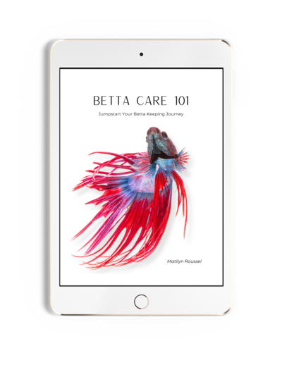 Example of the cover to a free guide offered displayed on the screen of an ipad