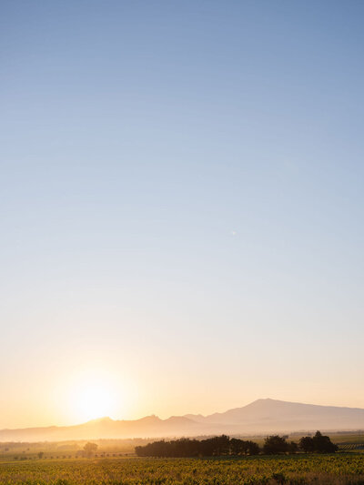 20240525-WeddingDarciandRyan-Venue-35