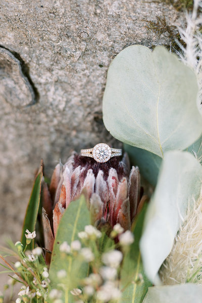 J+R Engagement-401_websize