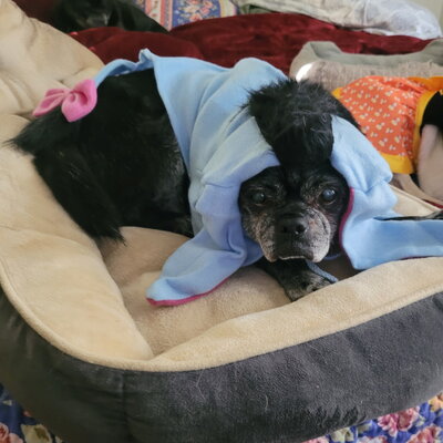 558045512_1228222719346709_4975094625005049599_n