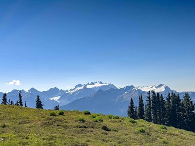 Happy elopement couple with Mount Rainier and a forest as a backdrop