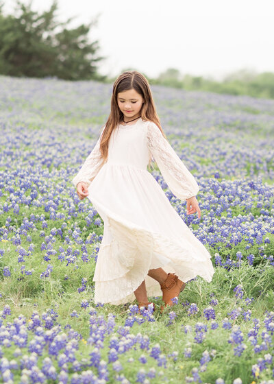 texas bluebonnets