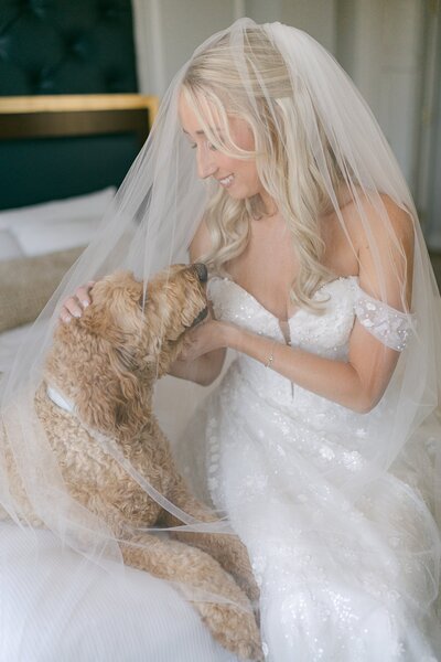 Bride snuggling her golden doodle at Hotel Carmichael