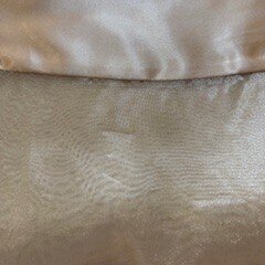 Champagne Organza with satin border