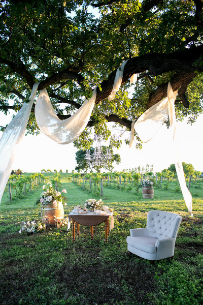 Outdoor seating area under beautiful oak tree overlooking vineyards at Providence Vineyard wedding venue