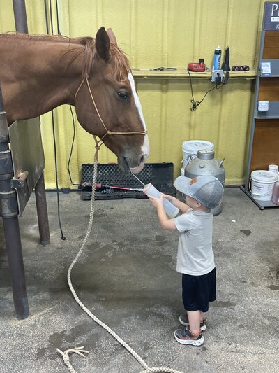 Royalty Vet customer getting quality care with the help of  a cute little customer.