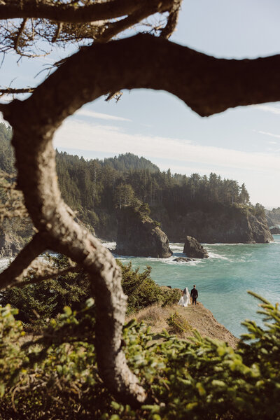 bride and groom elopement on the oregon coast in brookings1