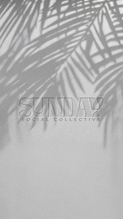 Monochrome polaroid-style image of the Sunday Social Collective logo with palm shadows over textured background