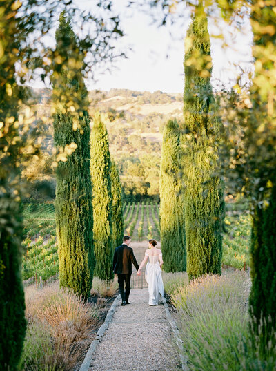 Napa-Sonoma-Valley-Wedding-Photographer-91