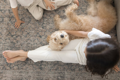 goldendoodle at newborn family photography session