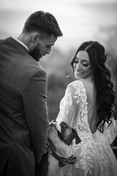 Asheville Wedding Photographers, Light Shifter Studios give a detailed description of  what they bring and  their approach to wedding photography. 