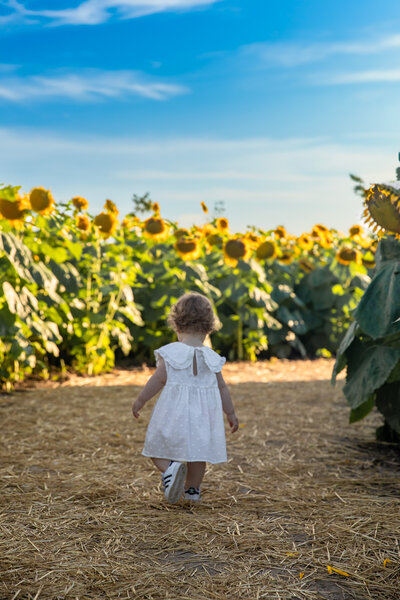 Sunflower field photoshoot for Madelyn, from Alba Belli