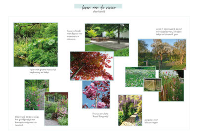 tuinontwerp Lathum Arnhem biodiverse tuin
