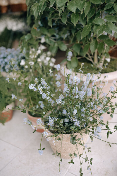 Blue florals and greenery in vintage terra cotta pots for a French countryside wedding in Gordes, France