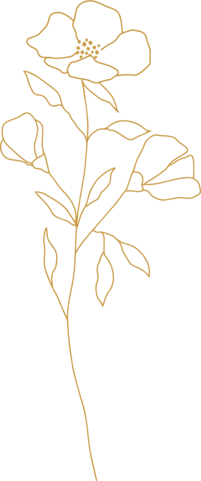 yellow wildflower illustration