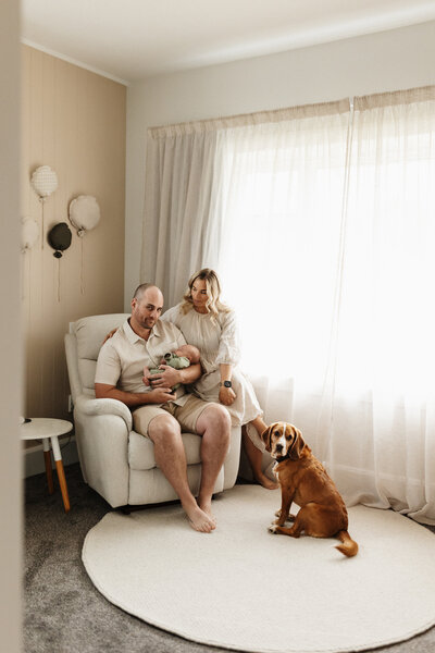 A mother and father hold their newborn baby while their pet dog looks on and looks at the camera and lucy jane photographs the family in their home in christchurch