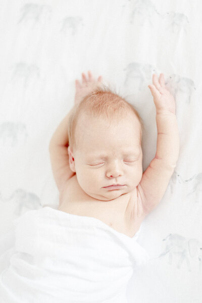 mother kissing newborn baby in front of window by Nashville Newborn Photographer Kristie Lloyd