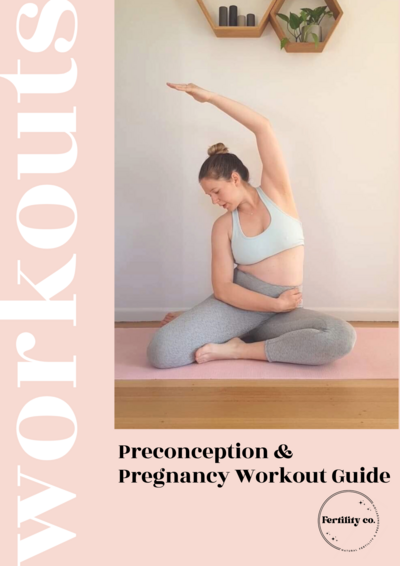Guide - Pregnancy Workouts (2)