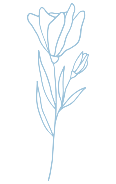 blue illustration of wildflower