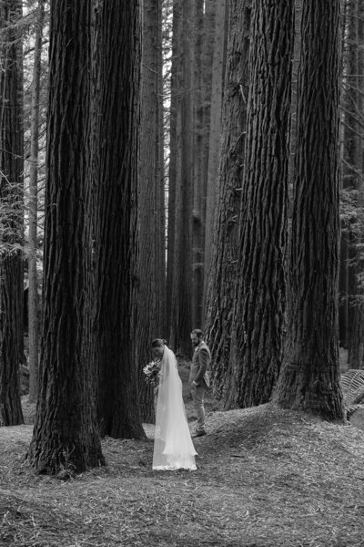 Elopement Photography at the Redwood Forest in the Otway Ranges 