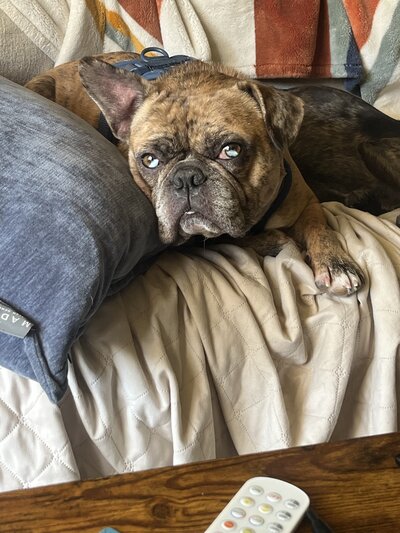 Hank (3)