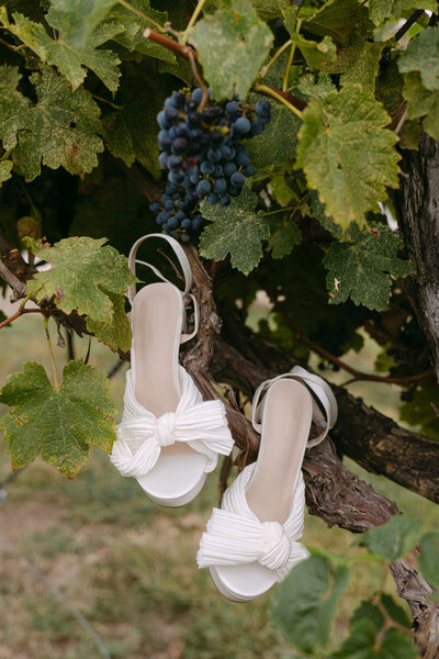 haley-grant-prairie-hill-vineyard-wedding-kayxbee-37
