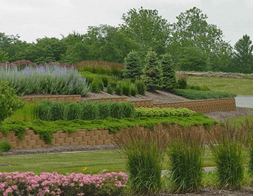 Landscape company project: Barry Towne Shopping Center