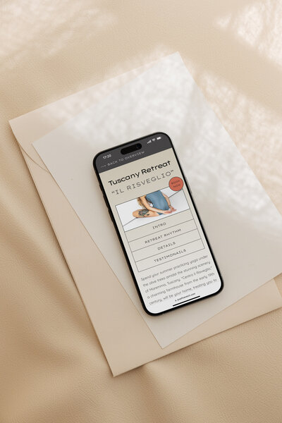 Mockup einer Website für Yogalehrerin Birgit, naturverbunden und mit Fokus auf Sesselyoga gestaltet