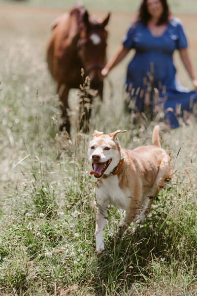 Tori+Sadie_2025_DanicaOlivaPhotos_26