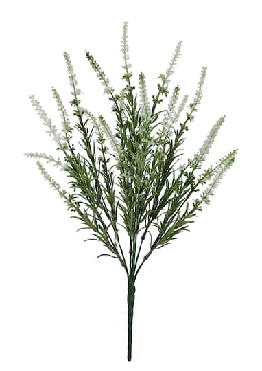 white lavendar deluxe bush
