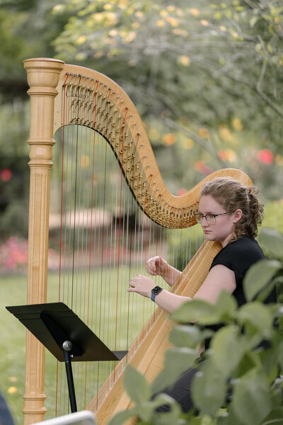 michigan wedding harpist playing music at michigan wedding venue 