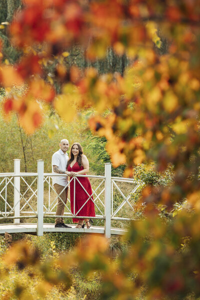 Sayen House & Gardens | Couple on white bridge during fall engagement shoot | Hamilton Township, New Jersey