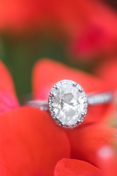 Samantha-Akeem-Engagement-200950