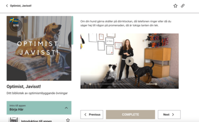 Optimist javisst reaktiv hund stressad hund onlinekurs