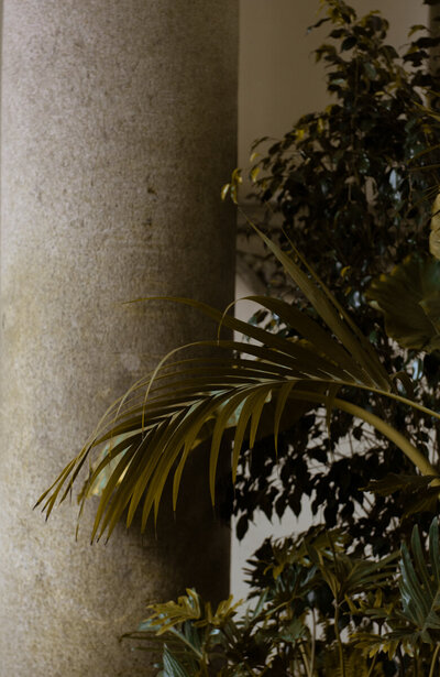 haute-stock-photography-subscription-alcove-collection-2