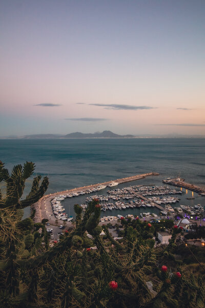 Coast of Tunis