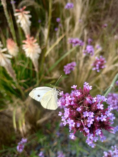 An outdoor Nashville sweetheart table by Frances and Jane Floral Design