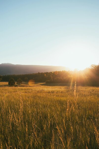 sun rising over the mountains in a field