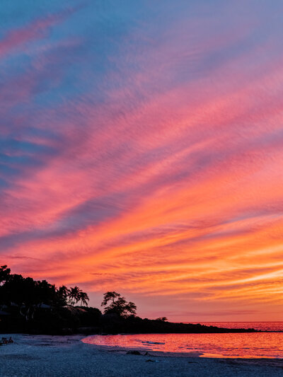 RYP_JA_RD-028