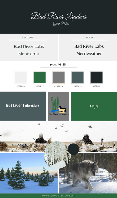 Bad River Labradors BB