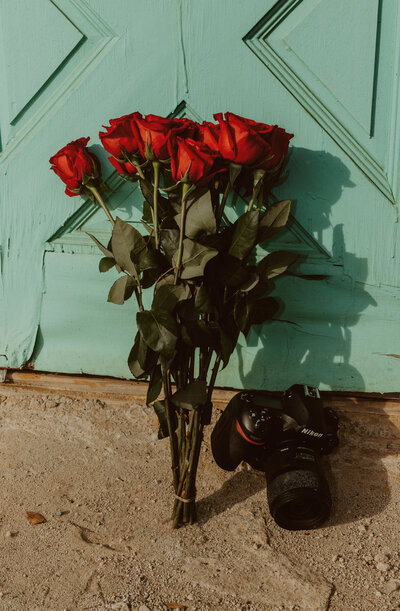Rose with camera